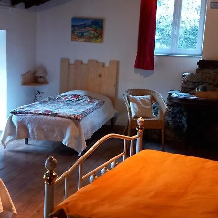 Cedres Bleus De Joany Chez Nathalie Hotel Viviez Ngoại thất bức ảnh