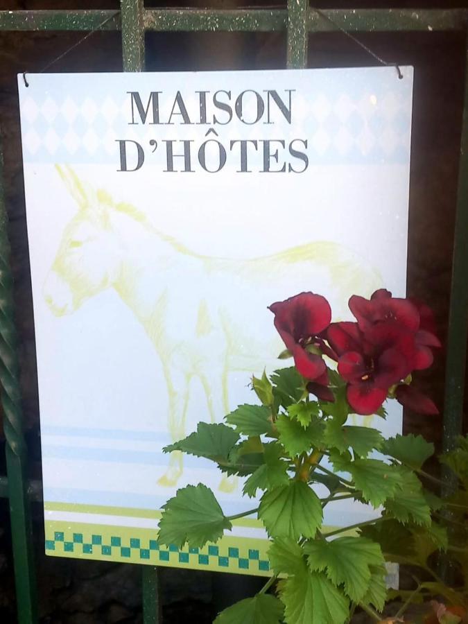 Cedres Bleus De Joany Chez Nathalie Hotel Viviez Ngoại thất bức ảnh
